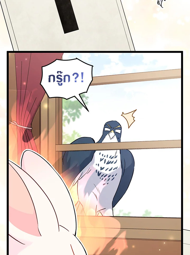 The Symbiotic Relationship Between a Panther and a Rabbit 95 072